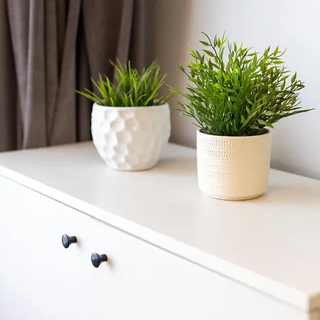 River View Aurora 3*